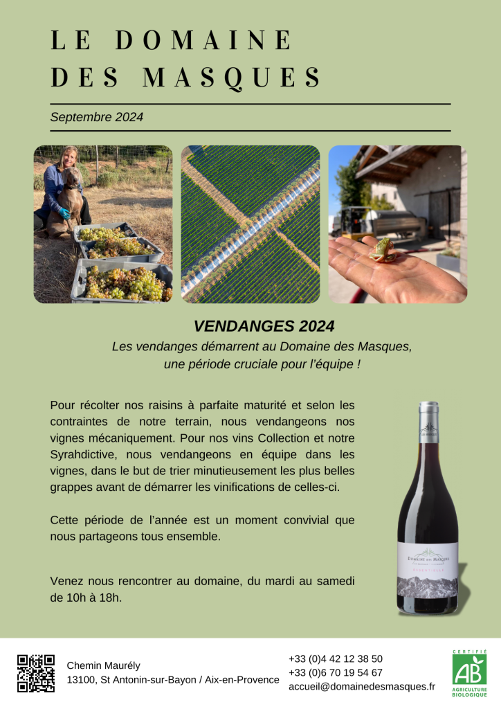 Les vendanges 2024 au domaine